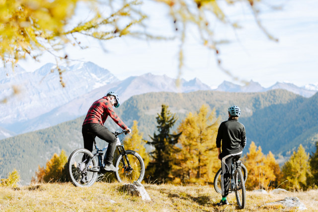 Mountain bike offers