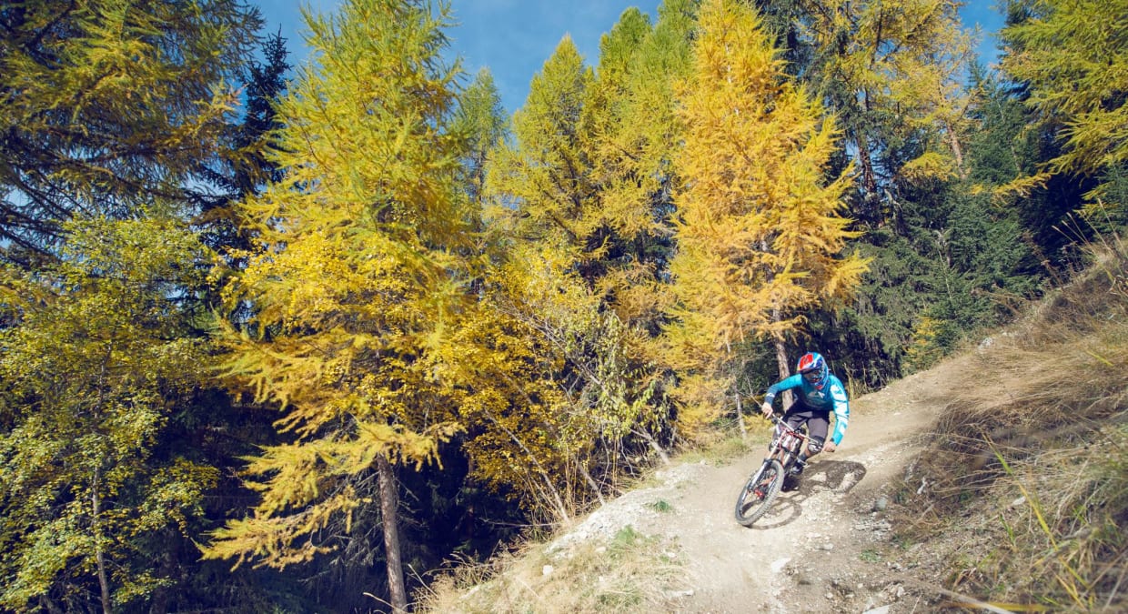 VTT
