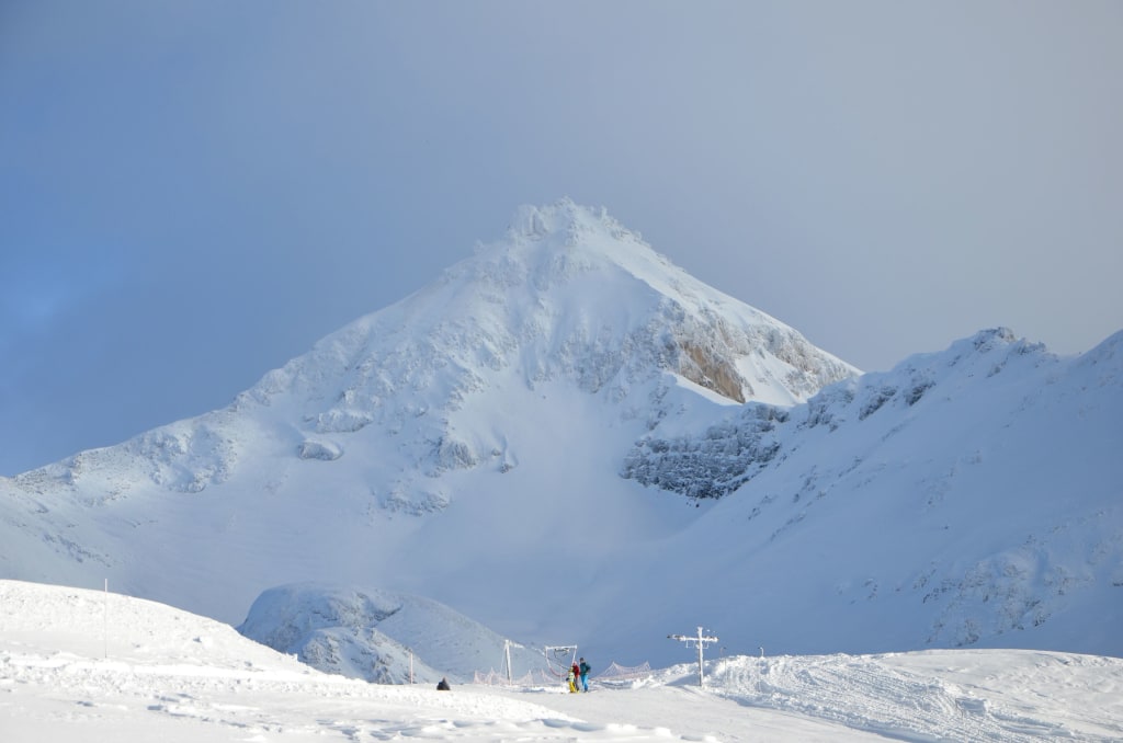 Bella Tola