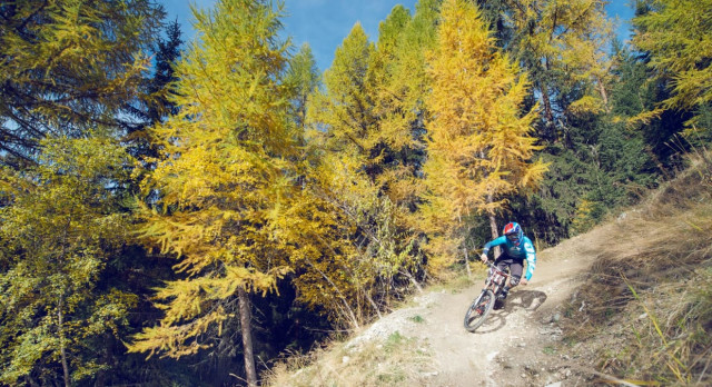 VTT