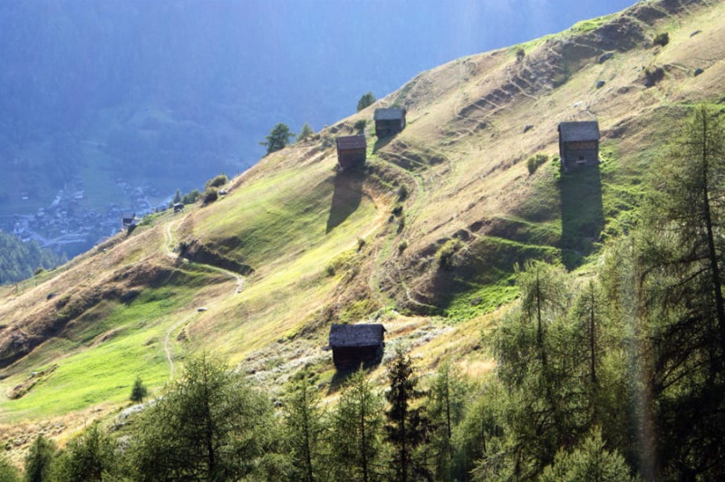 Eté