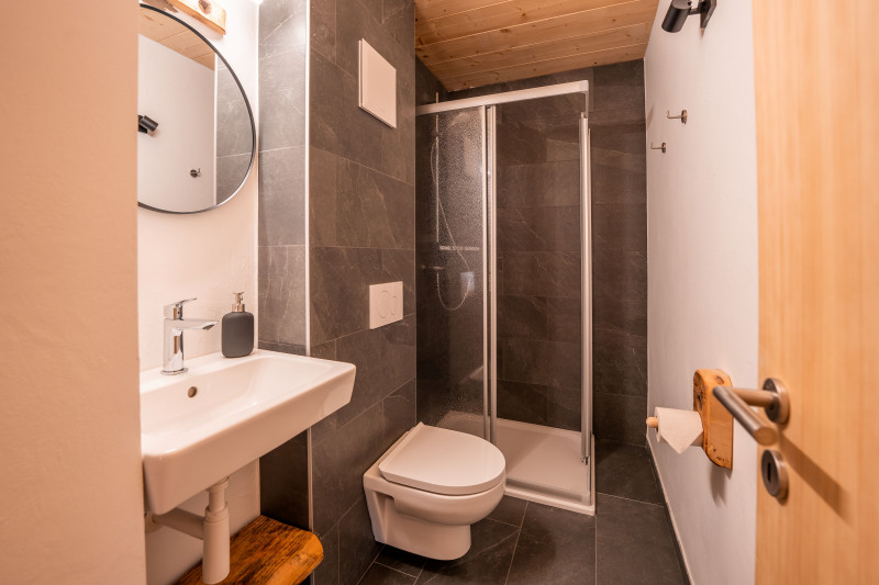 douche-gite-agritouristique-valais-1498349