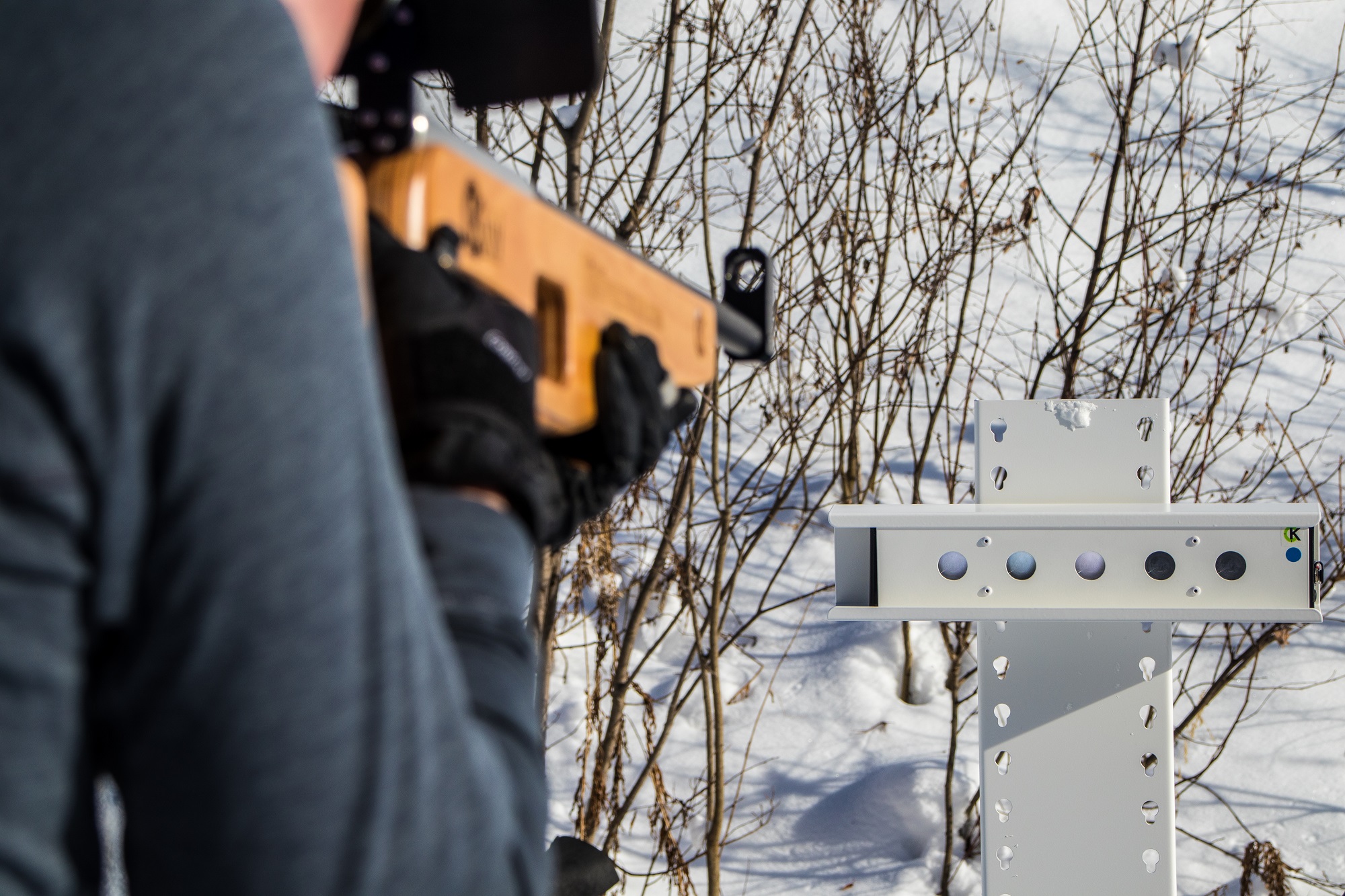 biathlon-zinal-2-7863150