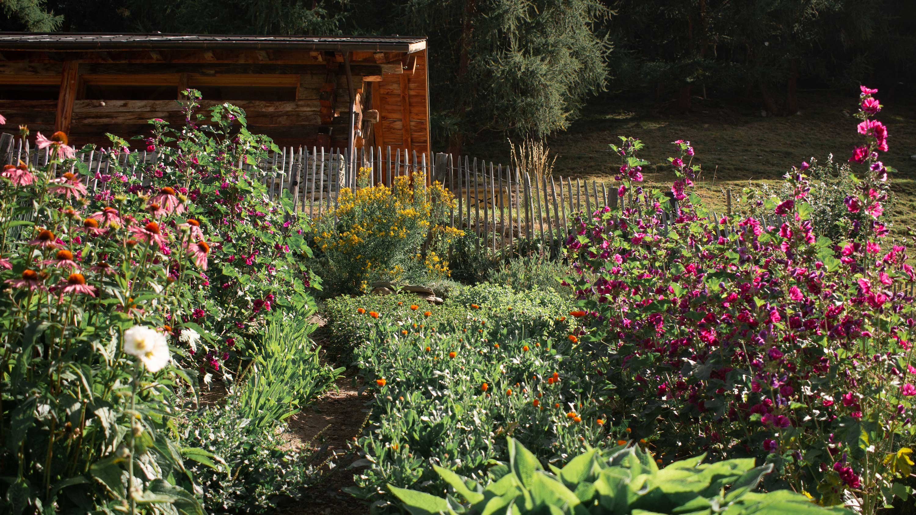 cottier-jardin-ecurie-8988826