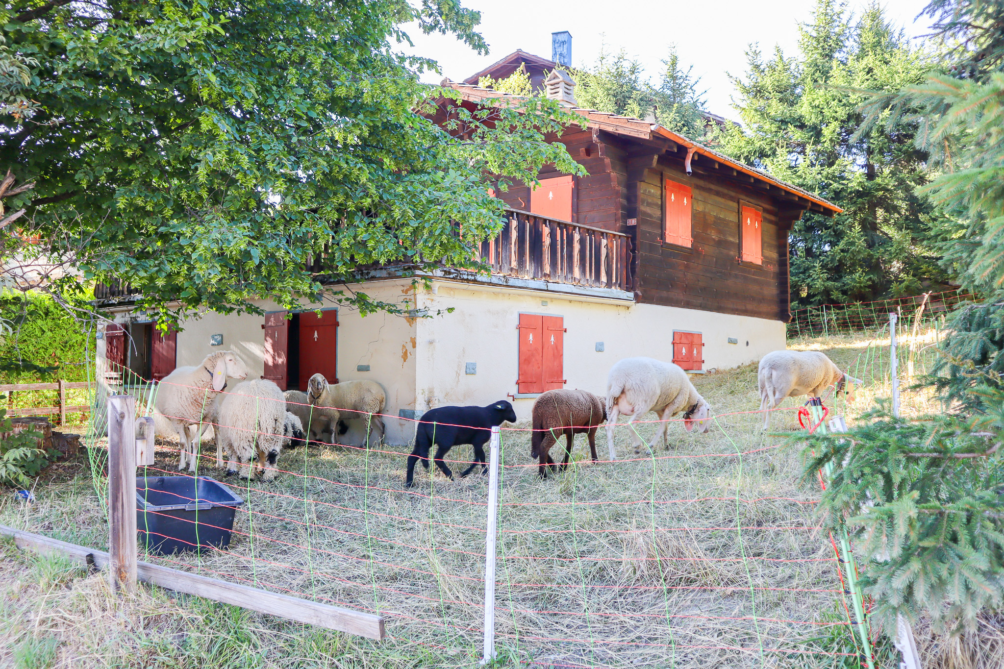 img-1140-8566960