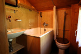 Salle de bain avec baignoire