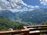 Vue