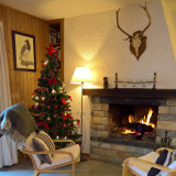 Séjour - cheminée