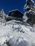 IMG_2303 IMG_2303