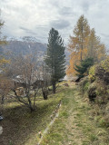 Chemin Accès au Chalet