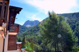vue (1)
