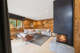 Cheminée vitrée avec feu de bois-2