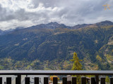 11. Vue
