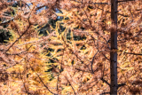automne2018rdaniel-16-6725701