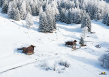 photos-sam-raccards-hiver-9696609