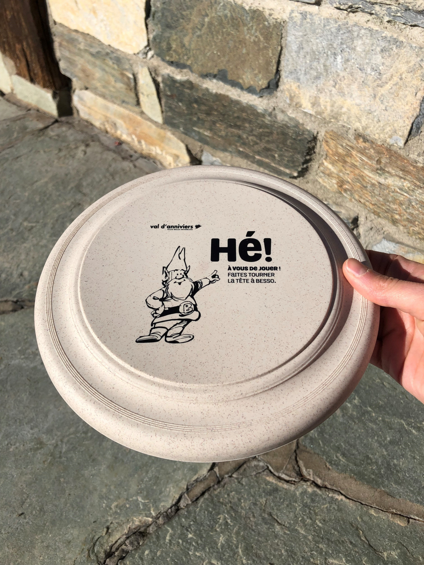 frisbee-7902579