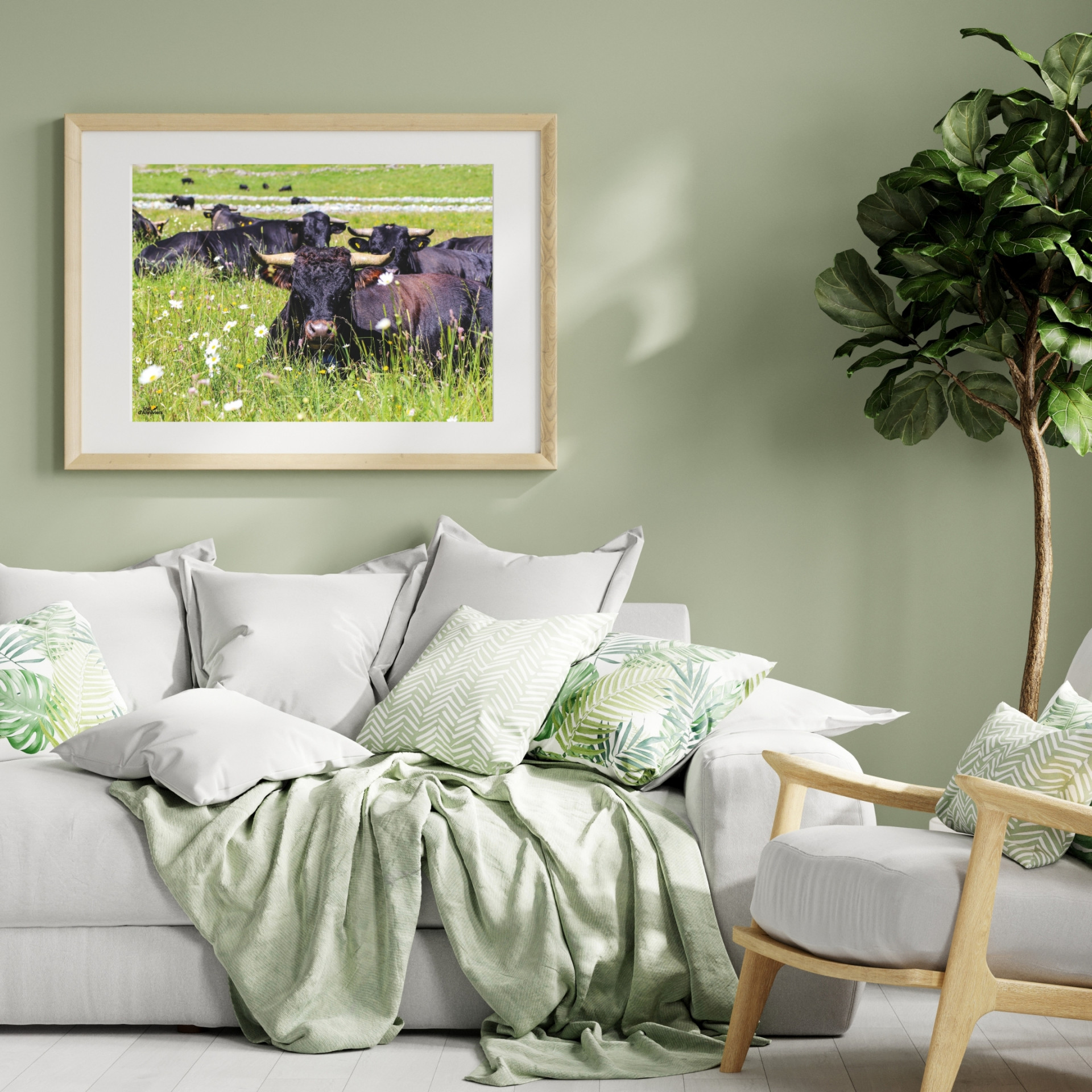 photos-sam-ingenie-vaches-9611329