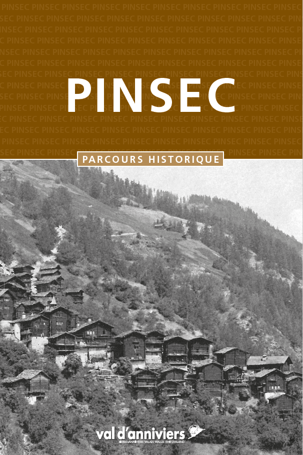 pinsec-6650318