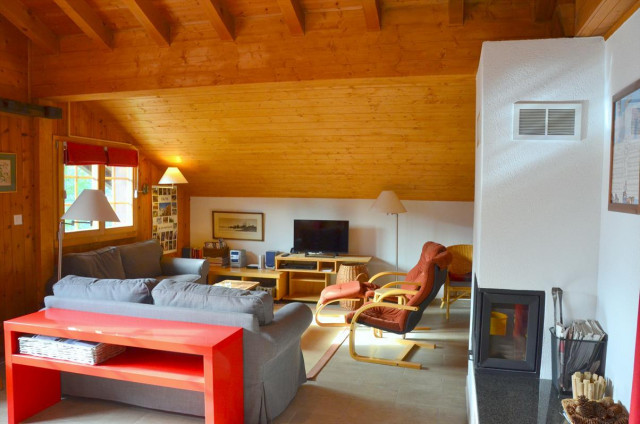 Séjour avec cheminée 1