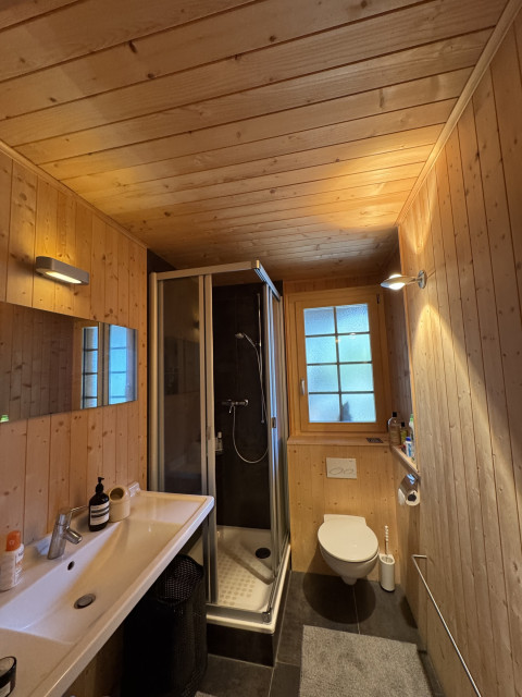 Salle de bain 1 - Douche et WC Salle de bain 1 - Douche et WC