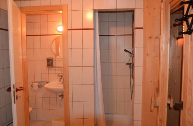 Salle de bain avec Sauna Salle de bain avec Sauna