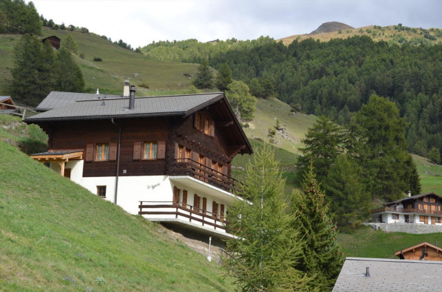 Gypaète