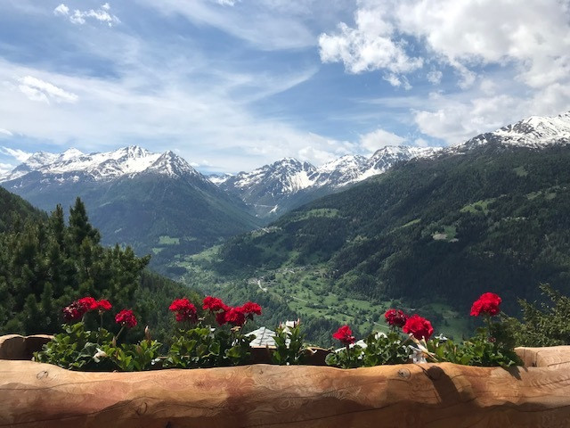 Vue depuis le chalet Vue depuis le chalet
