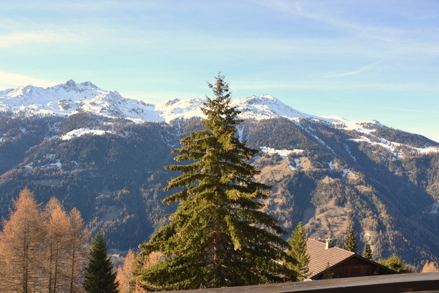 vue balcon (2) vue balcon (2)