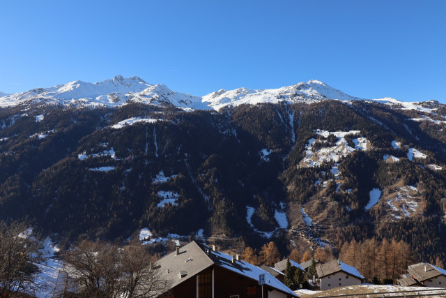 IMG_2953 IMG_2953