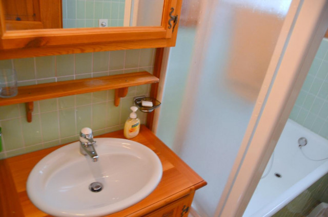 salle de bains/WC (2)