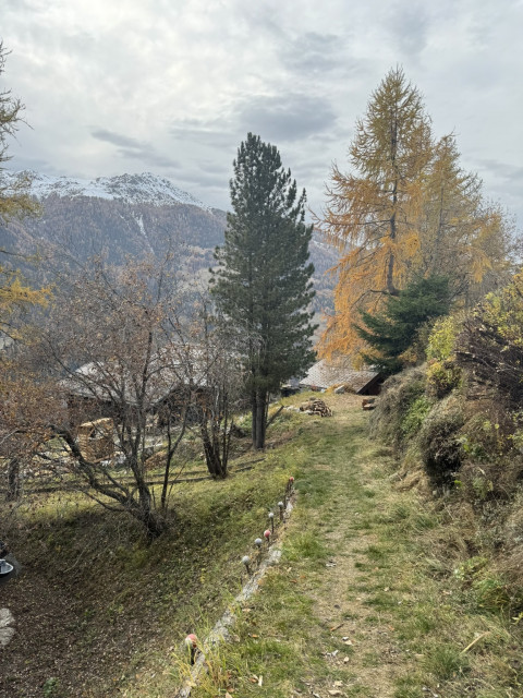 Chemin Accès au Chalet