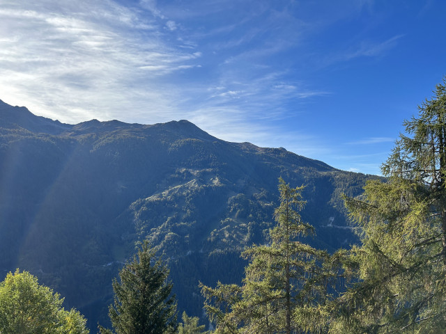 Vue depuis le chalet Vue depuis le chalet