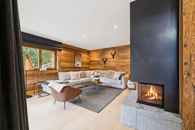 Cheminée vitrée avec feu de bois-2