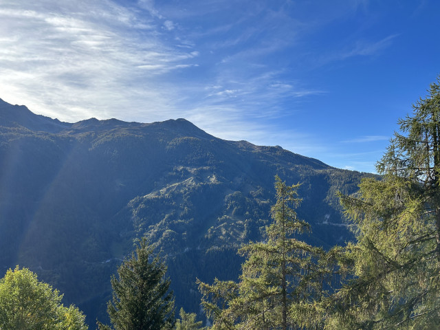 Vue depuis le chalet
