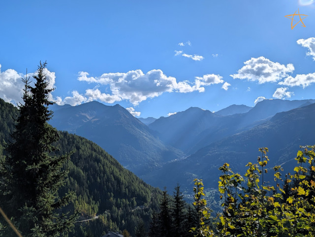 29. Vue 29. Vue