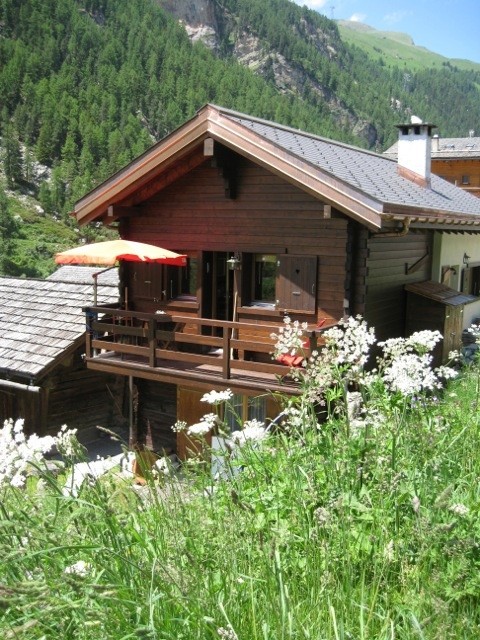 itrognon-8-6638228