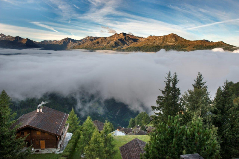 vue pano 2 vue pano 2