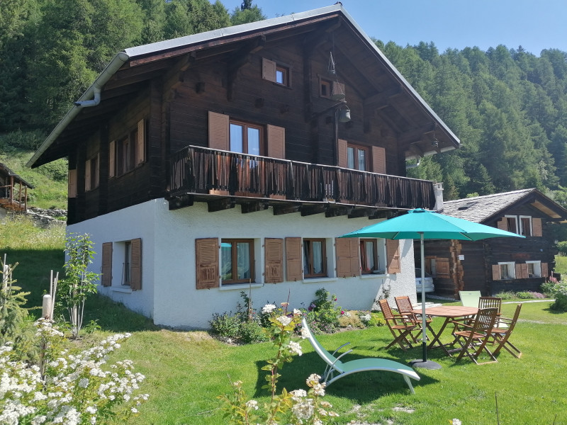 Chalet en été - autre vue Chalet en été - autre vue