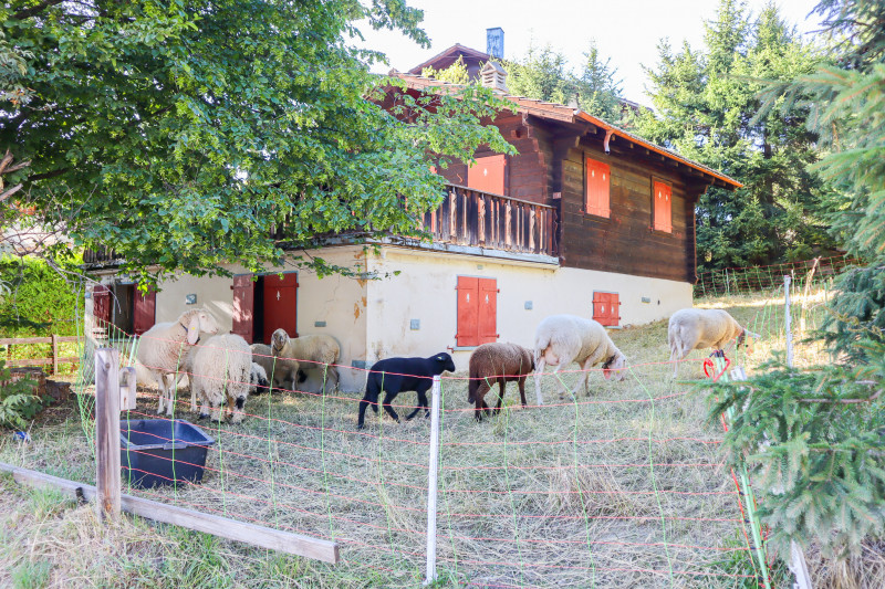 img-1140-8566960