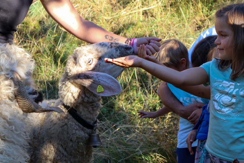img-1290-8566959