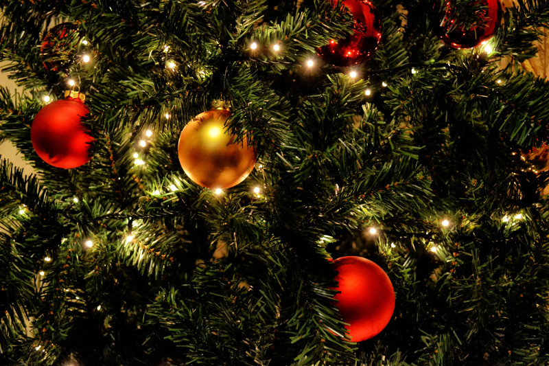 tree-branch-winter-glowing-home-celebration-598441-pxhere-com-7788699