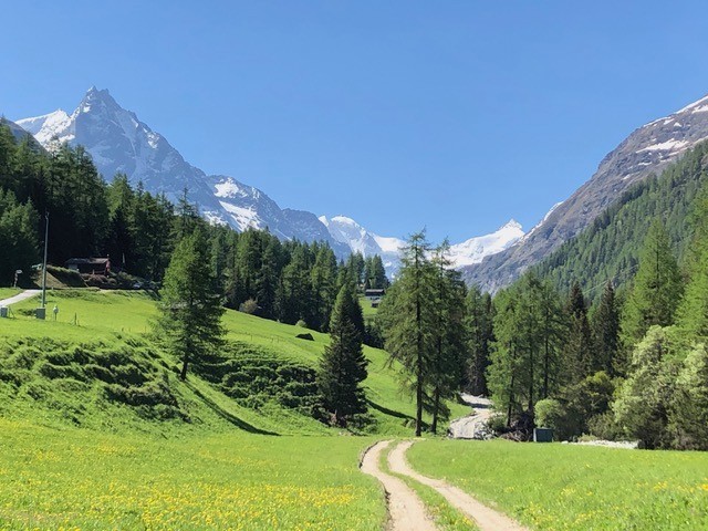 Blick von der Herberge